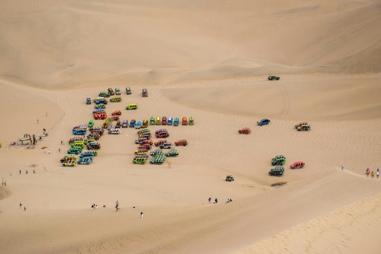 best off road dune buggies